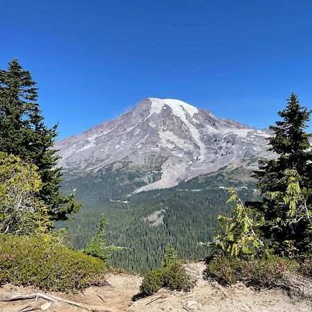New Modern Cabin! 5Mi To Mt Rainier National Park! Hot Tub & Wifi Ashford Luaran gambar