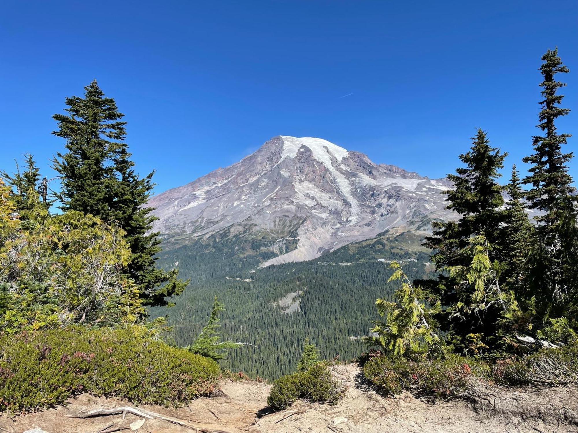 New Modern Cabin! 5Mi To Mt Rainier National Park! Hot Tub & Wifi Ashford Luaran gambar