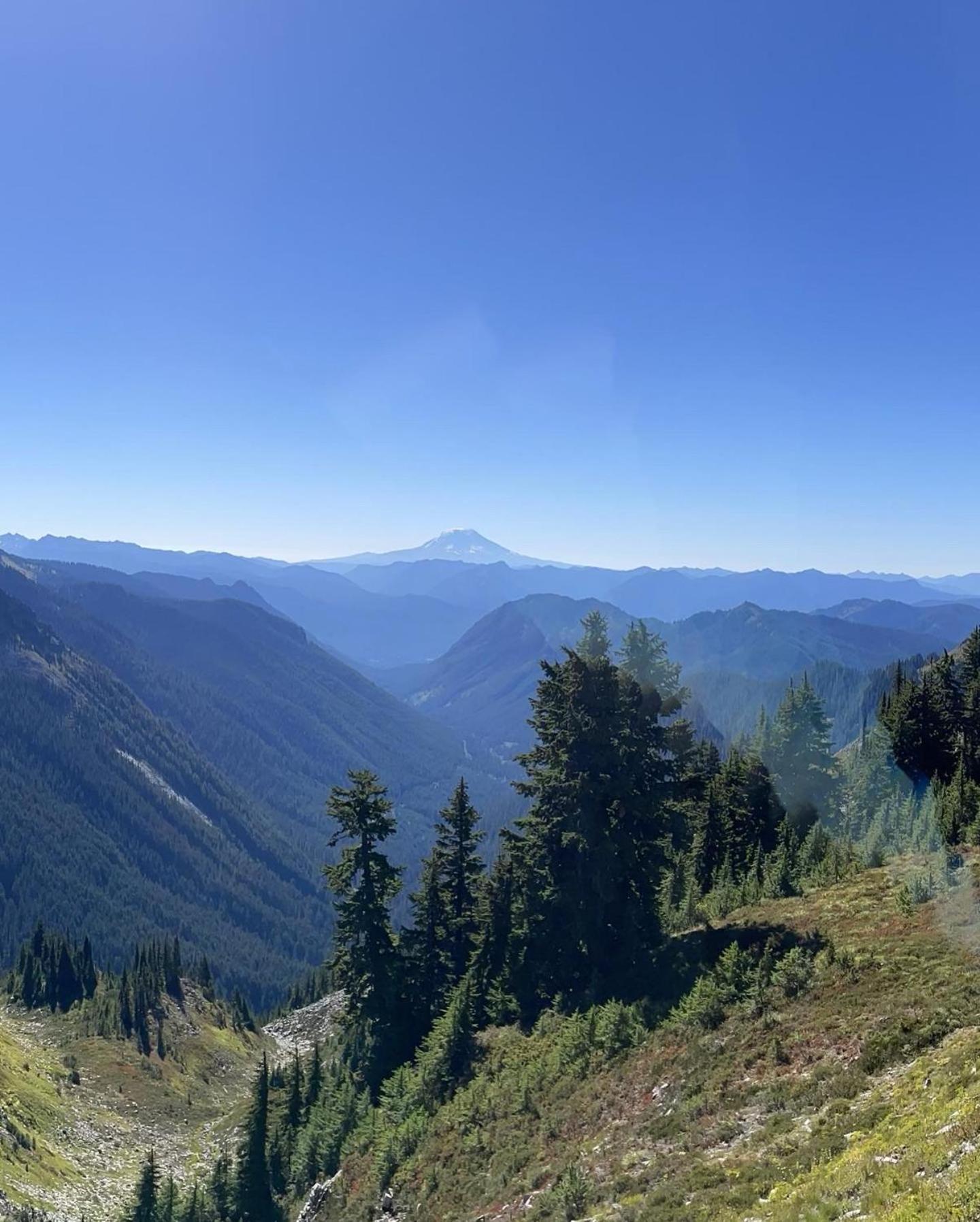 New Modern Cabin! 5Mi To Mt Rainier National Park! Hot Tub & Wifi Ashford Luaran gambar
